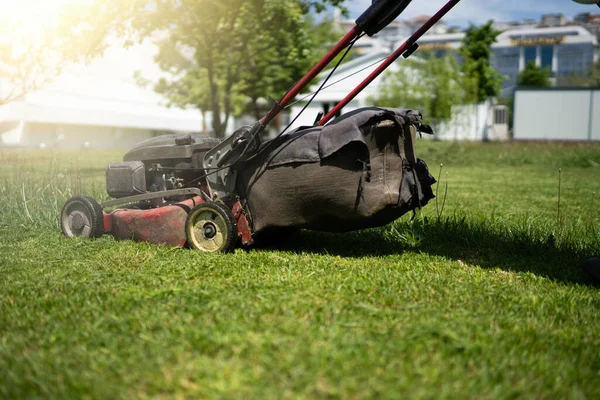 Grass Cutting Progress Lawn Mower Working Sunny Day — Stock Photo, Image