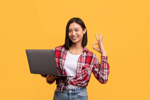 興奮した中国の女性はラップトップで働いて 黄色の背景の上に立って ウェブサイトを承認し 大丈夫ジェスチャー 女性のフリーランサーはPcを使う 素晴らしいWebサービスの概念 — ストック写真