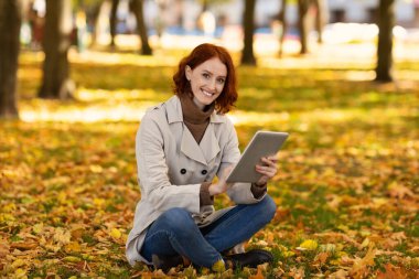 Bin yıllık gülümseyen, kızıl saçlı, sarı yapraklı, tablette yazan, internette sörf yapan, sonbaharın tadını çıkaran beyaz bir kadın. Şehir parkında zaman geçirir, dinlenir ve aletlerle rahatlarız.