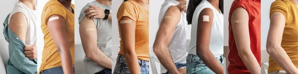 Mosaic of multiethnic group of unrecognizable people showing arm bands on their shoulders, cropped of multicultural men and women got vaccinated against COVID-19, collage, set of photos, panorama