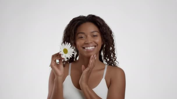 Природна Косметика Жінок Щаслива Афро Американська Жінка Тримає Камоміле Біля — стокове відео