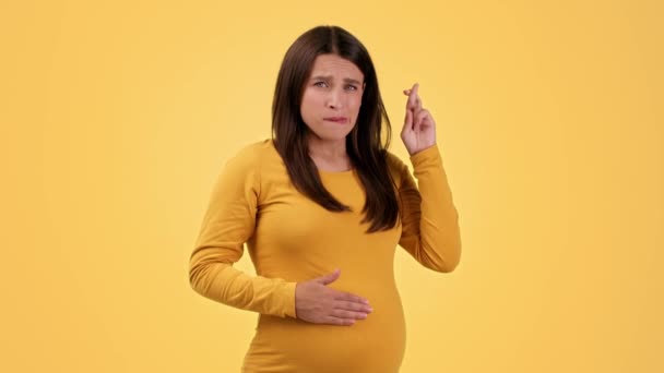 相信奇迹 年轻的正怀孕的女士用交叉的手指许愿 抚摸着她的腹部 对着镜头微笑 橙色工作室的背景 慢动作 — 图库视频影像