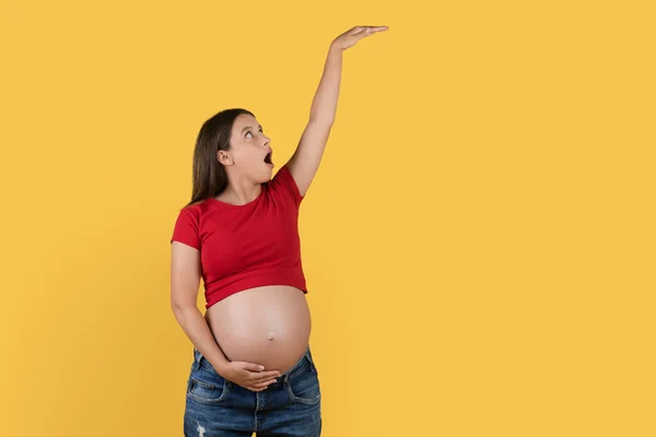 Shocked Young Pregnant Lady Measuring High Invisible Object Hand While — Stok Foto