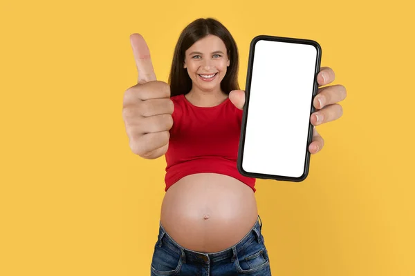 Mobilt Erbjudande Glada Gravida Kvinna Som Håller Big Blank Smartphone — Stockfoto