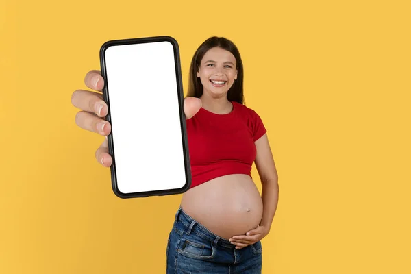 Vilken Bra App Glada Unga Gravid Kvinna Demonstrera Big Blank — Stockfoto