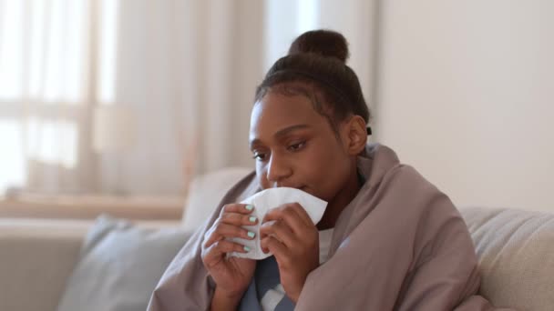 季节性流感 年轻的心烦意乱的非洲裔美国女人感到不舒服 吹着流鼻涕 裹着毯子坐在家里 跟踪镜头 慢动作 空虚的空间 — 图库视频影像