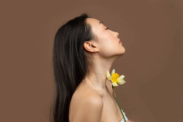 Profilbild Einer Koreanerin Die Mit Narzissenblüte Vor Braunem Hintergrund Posiert — Stockfoto