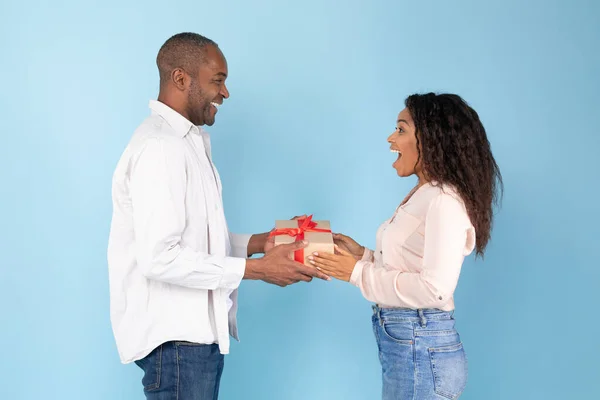 Loving African American Man Giving Gift Young Wife Blue Studio — Stok Foto