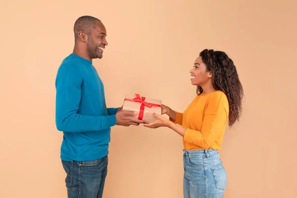 Excitede black couple giving gifts to each other, peach studio background, free space, side view. Loving middle aged husband giving present to his young wife. Valentines day celebration
