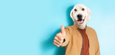 Man in stylish casual outfit with happy white labrador retriever head gesturing thumb up on blue studio background, recommending service or product, panorama with copy space, collage