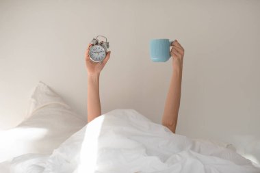 Hands of young european woman under covers with alarm clock, cup of coffee on white bed in bedroom, free space, unrecognizable. Good morning, energy, sleep well, health care, time for work, meeting