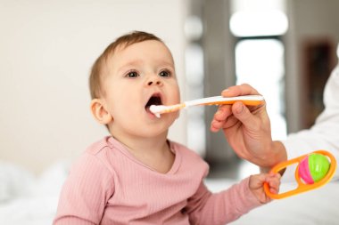 Baby feeding concept. Cute little infant girl opening mouth and eating from spoon, caring mother giving healthy food to her hungry child at home, closeup shot