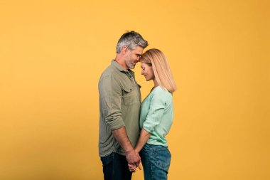 Romantic mature couple holding their hands and touching foreheads, being intimate and affectionate, yellow background, studio shot, side view. Loving spouses cuddling