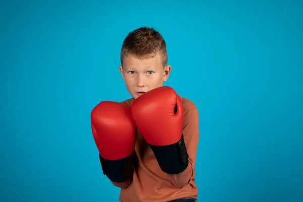 Portrait Motivated Preteen Boy Wearing Boxing Gloves Posing Blue Studio — Zdjęcie stockowe