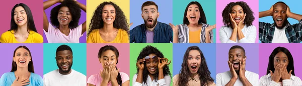 Collection Stylish Multiethnic Millennials Sharing Positive Emotions Colorful Studio Backgrounds — Stok fotoğraf