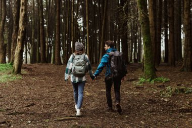 Millennial caucasian guy and woman in jackets and backpacks travel in cold forest, enjoy adventure together and walking outdoor, back. Vacation, active lifestyle and camping, hikers and sports at air