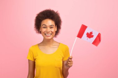 Smiling pretty young african american curly female in yellow t-shirt with Canada flag, isolated on pink background, studio. Exchange studies, education, language learning and courses, ad and offer