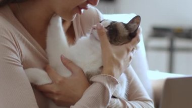 Lovely domestic pet. Young unrecognizable woman embracing her beautiful cat, caressing her and talking at home, slow motion, empty space