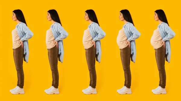 怀孕的阶段 不同腹部尺寸的年轻女子站在黄色工作室的背景上 侧视图 — 图库照片