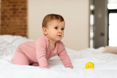 Child care. Cute caucasian baby girl crawling on bed at home and looking away at free space, portrait of little infant kid resting in bedroom