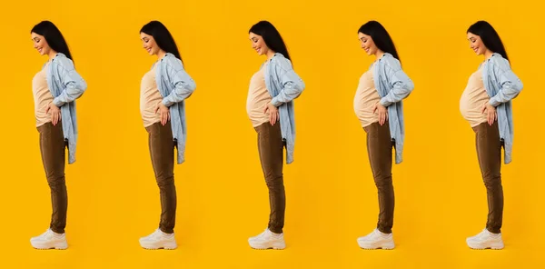 怀孕不同阶段的年轻孕妇的拼贴 在黄色工作室背景 侧视图 全长镜头上摆姿势 — 图库照片