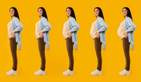 不同怀孕阶段的大学教育 在黄色背景下随意摆姿势的快乐孕妇 演播室拍摄 — 图库照片