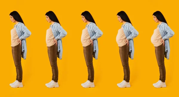 全长拍摄的怀孕不同阶段的妇女站在黄色工作室背景 侧视图 — 图库照片