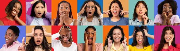 Portraits Of Beautiful Multiethnic Females With Different Face Expressions Posing Over Colorful Backgrounds, Collage With Diverse Multicultural Women Expressing Emotions Of Excitement, Panorama