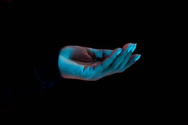Female Hand Isolated Black Background Holding Empty Open Palm Folding — Stock Photo, Image