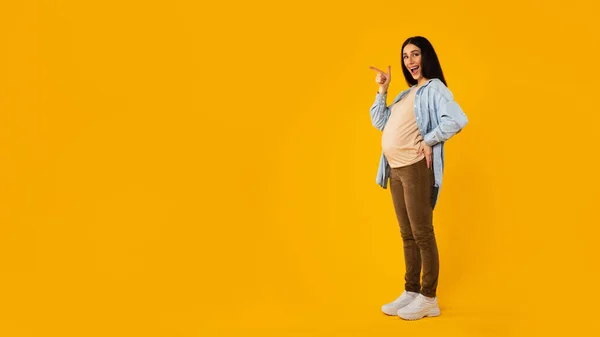 真酷的提议兴奋的孕妇指着黄色背景的自由空间 展示空旷的广告空间 — 图库照片