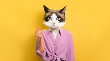 Give me money. Woman with head of sweet pussy cat showing money gesture on yellow studio background, banner, copy space, collage for gestures concept