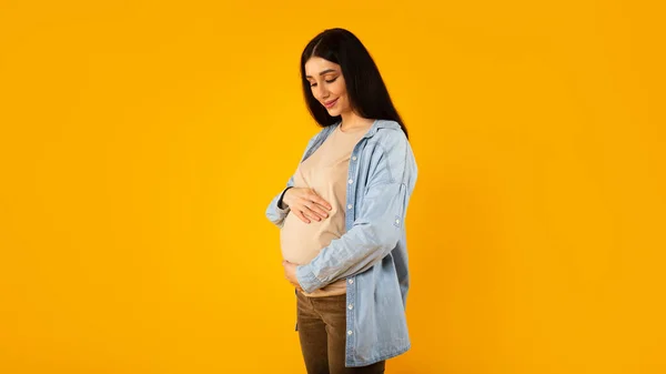 Mengharapkan Bayi Potret Wanita Hamil Yang Bahagia Lembut Menyentuh Perut — Stok Foto