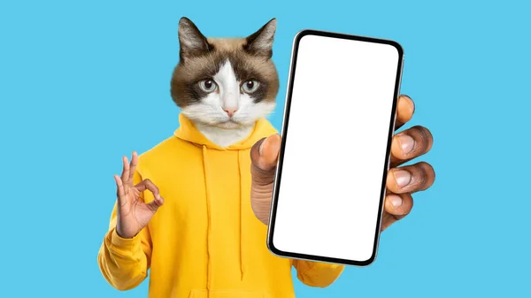 Cute Pussy Cat Yellow Hoodie Showing Okay Gesture Modern Cell — Photo