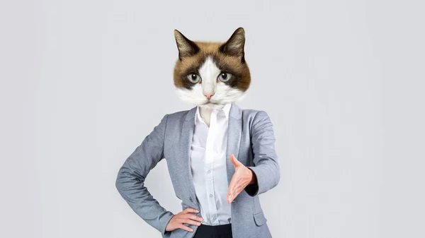 ビジネス女性でエレガントな正式な衣装で頭のかわいい猫の拡張彼女の手のために振るためにライトスタジオの背景 マネージャー挨拶誰か コピースペース コラージュ — ストック写真