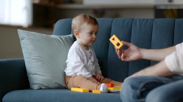 Educação Génio Pai Amoroso Irreconhecível Desenvolvendo Sua Menina Com Brinquedos — Vídeo de Stock