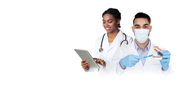 Usługi Dentystyczne Dwóch Wielonarodowych Dentystów Modelem Szczęki Tabletem Cyfrowym Dłoniach — Zdjęcie stockowe