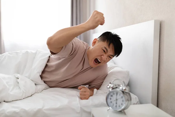Furious angry middle aged asian man lying in bed at home, smashing alarm clock with fist and screaming, exhausted tired male need more sleep, copy space. Sleeping disorder, sleepless night, burnout