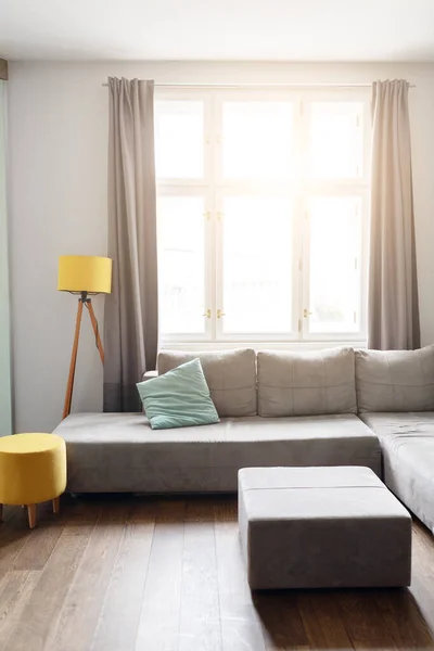 Shot Cozy Modern Living Room Big Grey Couch Panoramic Window — 스톡 사진
