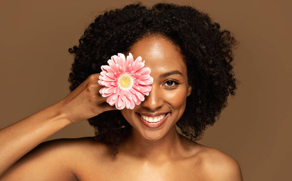 Portrait of happy cheerful smiling pretty young black woman with bushy hair posing topless over brown wall background, covering one eye with pink flower transvaal daisy, closeup