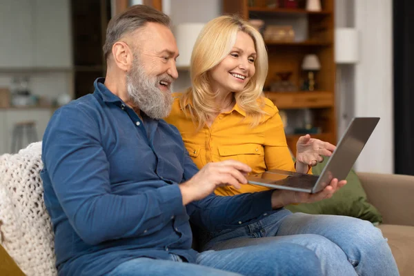 数码老年生活 采用笔记本电脑的快乐伴侣的侧面视图探索家庭舒适沙发上的技术世界 小工具和退休生活方式概念 — 图库照片