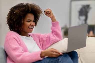 Duygusal olarak mutlu, genç ve güzel bir bayan, gündelik koltukta oturuyor, evde dizüstü bilgisayar kullanıyor, bilgisayar ekranına bakıyor, el kol hareketi yapıyor ve bağırıyor, iş başarısını kutluyor, boşluğu kopyalıyor.