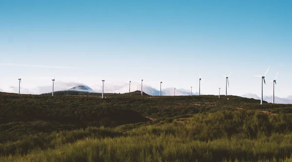 Возобновляемая Экологическая Энергия Многие Ветряные Мельницы Турбины Генерации Зеленых Электричество — стоковое фото