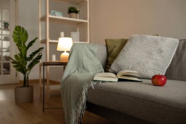 Kanepede kitap ve kırmızı elma, akşamları oturma odasının içinde saksı çiçeği. Atıştırmalık, hobiler, boş zamanlarında edebiyat, rahat, evde konfor, hiç kimse, gayrimenkul tasarımı, reklam ve teklif