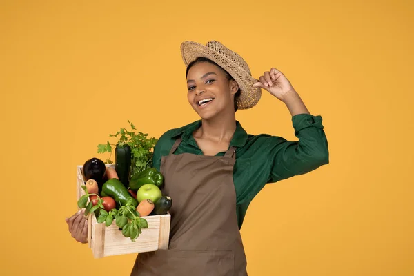 Συγκομιδή Χαράς African American Woman Holding Fresh Farm Λαχανικά Κουτί — Φωτογραφία Αρχείου