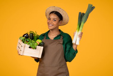 Başarılı bahçıvanlık. Gülümseyen Siyah Bayan Çiftçi Pırasa Tutuyor ve Taze Sebzelerle Tahta Kutu Poz Veriyor Sarı Stüdyo Arkaplan Üzerinde Yaz Şapkası Giyiyor. Hasat Zamanı Konsepti