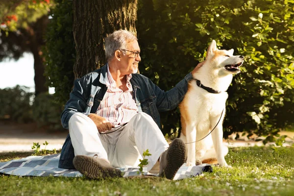Cheerful european old man with beard in casual enjoys walking with dog, rest and relax, sits on grass outdoor. Weekend with pet, love to animal, friend care and free time in city