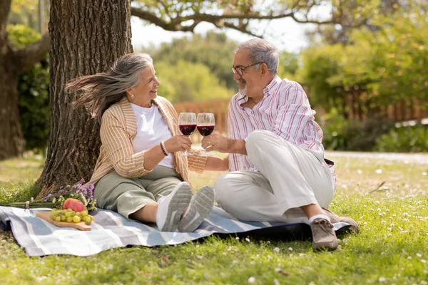 Sonriendo Hombre Mujer Senior Informal Cuadros Vítores Con Copas Vino —  Fotos de Stock