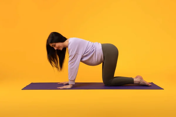 健康的习惯 年轻孕妇在瑜伽垫上运动的侧视图 孕妇在黄色背景下运动的运动服 复制空间 — 图库照片