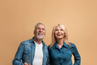 Güzel teklif. Heyecanlı, neşeli, son sınıf güzeli gri saçlı erkek ve sarışın kadın reklam için fotokopi odasına bakıyor, renkli arka planda izole edilmiş.