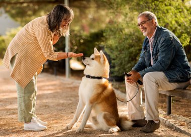 Pozitif kıdemli beyaz kadın ve gözlüklü koca köpekle eğleniyor, parkta, açık havada, tam boy bankta oturuyor. Çift aktif yaşam tarzını, hayvan bakımını, hayvan eğitimini seviyor